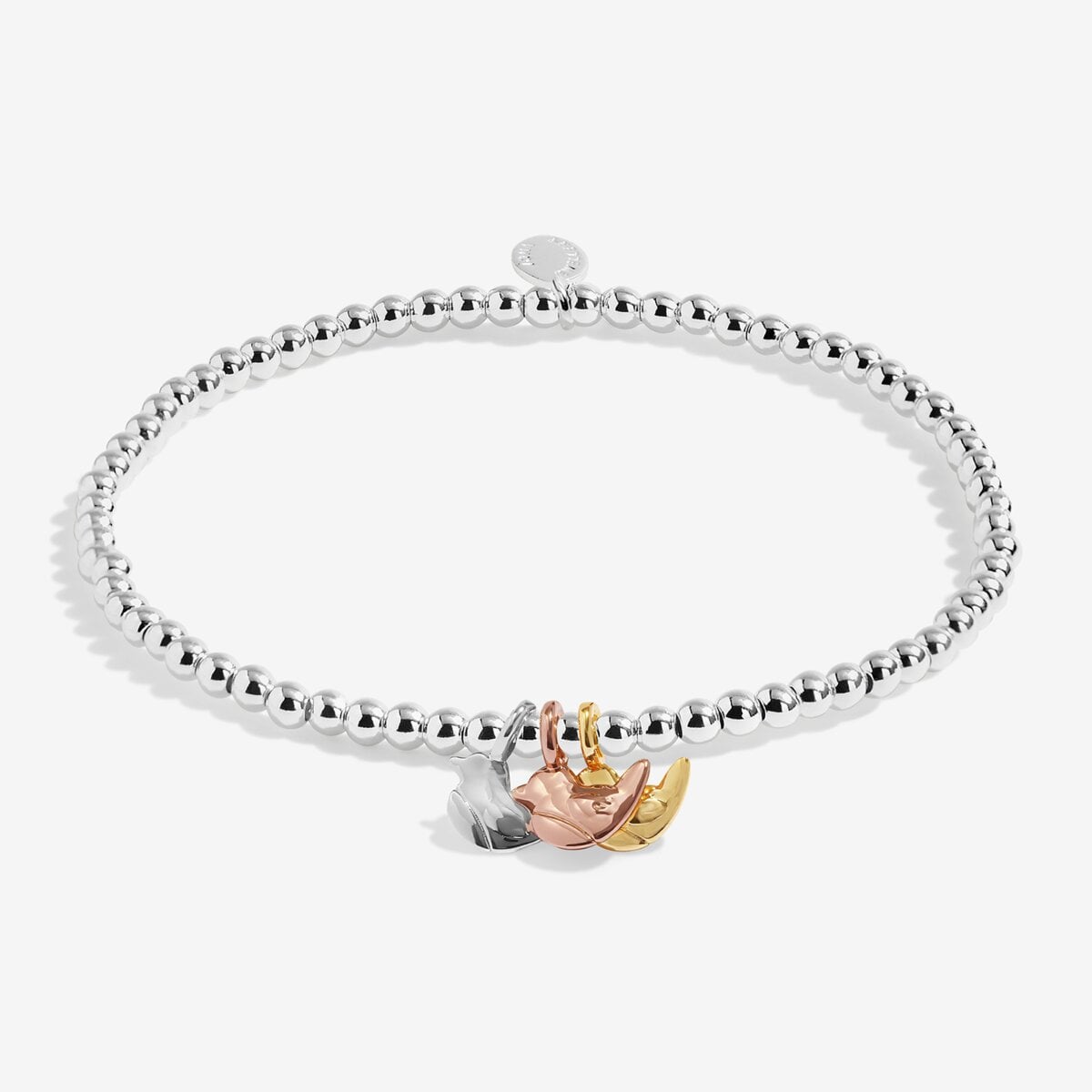 A Little Charmed Moments 'Robins Appear When Loved Ones Are Near' Bracelet In Silver, Gold, and Rose Gold Plating 10471