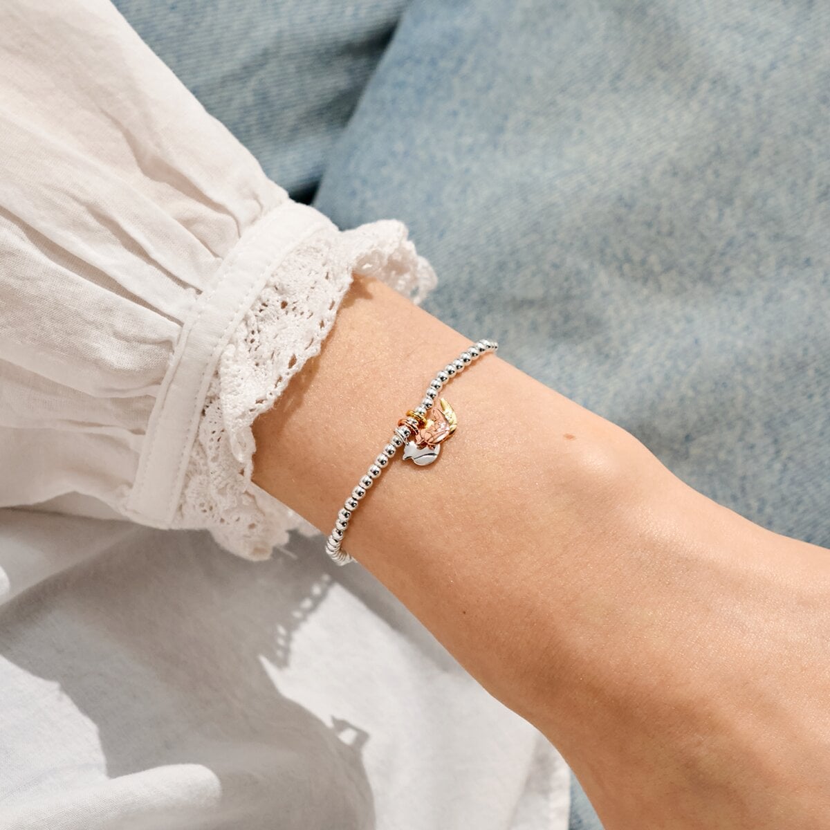 A Little Charmed Moments 'Robins Appear When Loved Ones Are Near' Bracelet In Silver, Gold, and Rose Gold Plating 10471