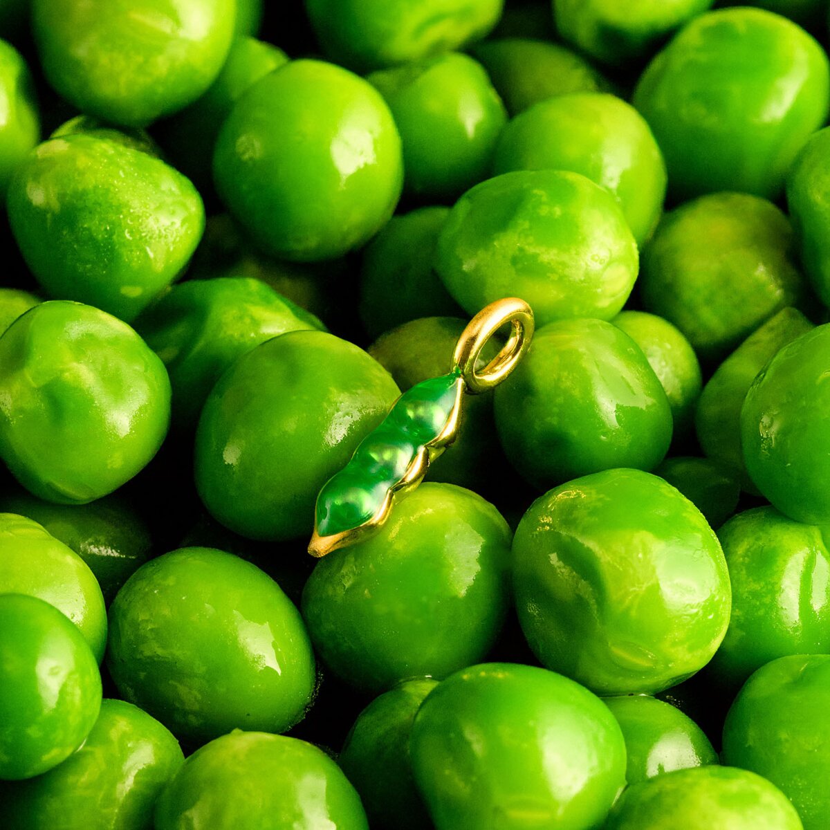 A Little Vibes 'Peas in a pod' Bracelet In Silver Plating 9842