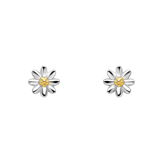 Laura Ashley Everingham Meadow Daisy Stud Earrings