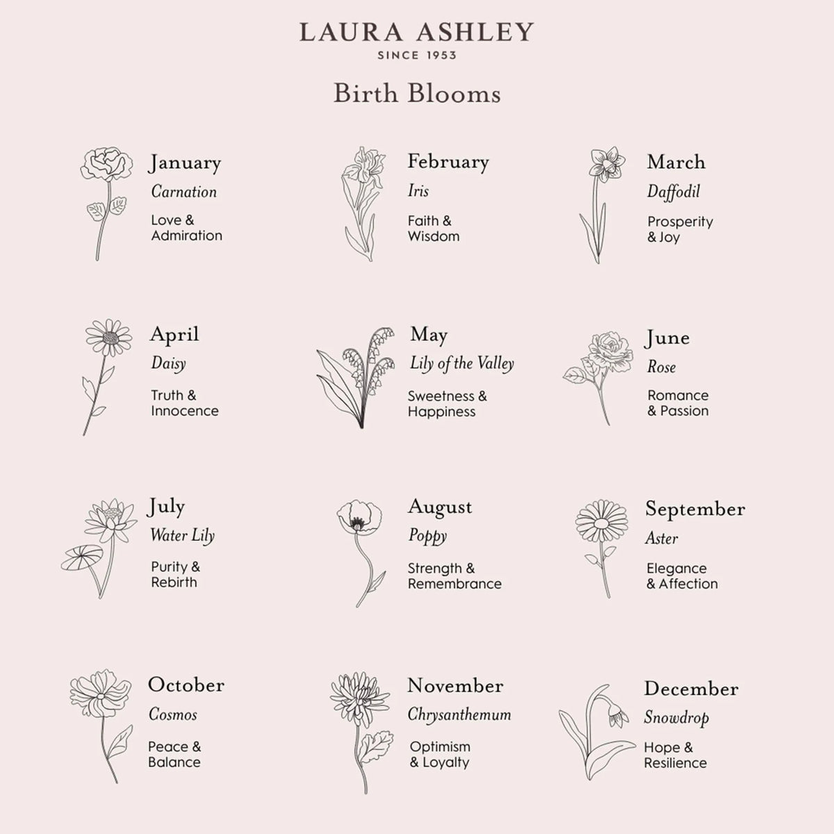 Laura Ashley Ferndale Border Birth Blooms Locket August